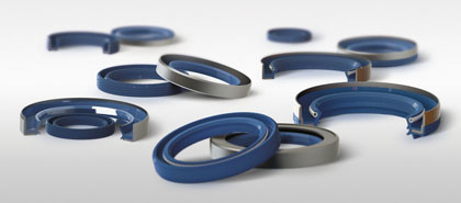 Rotary shaft seal, shaft seals