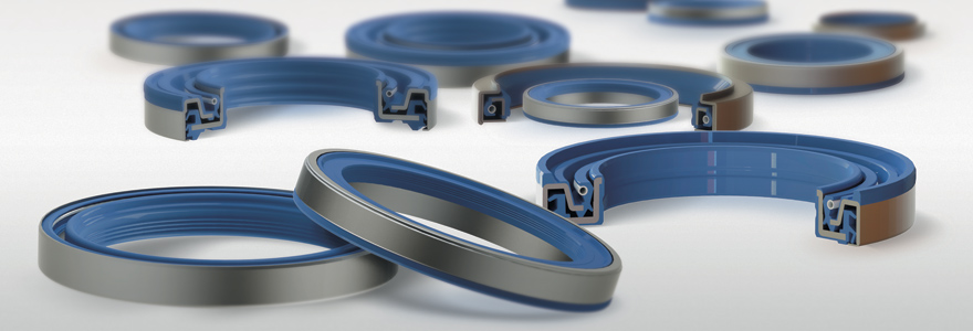 Cassette seals