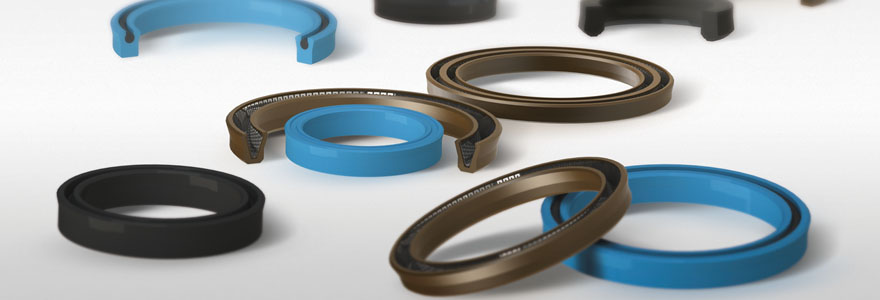 Hydraulic symmetrical piston/rod seals