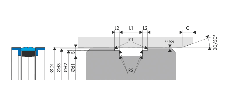 Housing Groove Gland Piston Seal - BECA - 510